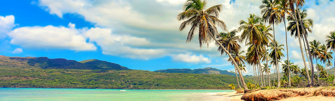 Area Code: 809 (+1809) - Santo Domingo, Dominican Republic